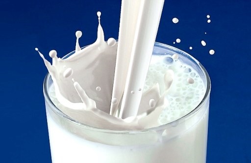 تولید شیرهای پاستوریزه 5 کیلویی برای بستنی فروشان