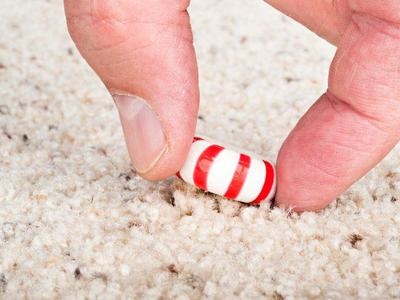 قانون 5 ثانیه‌ افتادن غذا روی زمین واقعیت دارد؟/ تحقیق روی یک افسانه قدیمی
