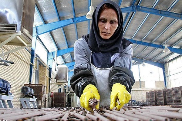 زنان هنوز در تنگنای اشتغال هستند/مرکز آمار: بیکاری 50 هزار نفر از زنان به‌دلیل اخراج، حقوق اندک و ...