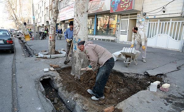 	 رضیان خبر داد:  فاز دوم پروژه بهسازی طوقه درختان کهنسال در کرج آغاز شد