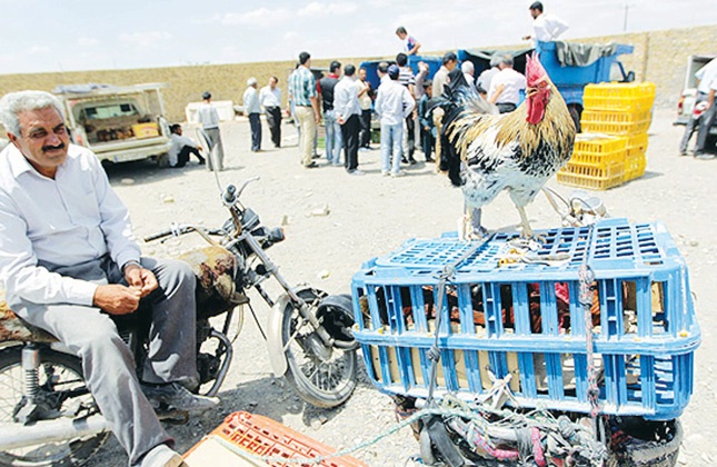 سامان گرفتن دستفروشان در بازارچه‌ها