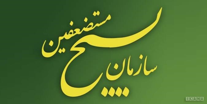 با مصوبه مجلس، بسیج تقویت می‌شود/ مخالفت دولت، مطهری و توکلی