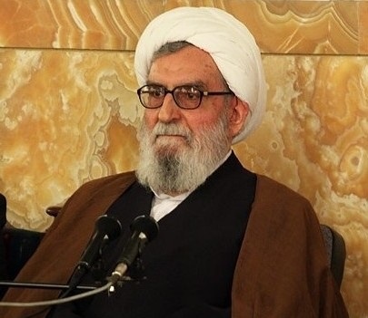 واعظ طبسی:عده‌ای بیمارند و تحت هیچ عنوانی به راه نمی‌آیند/عده‌ای به اشتباه خود را حزب اللهی می‌دانند