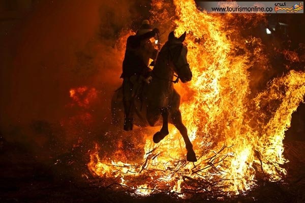 اسب و آتش/ عکس