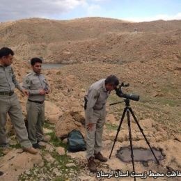 نظارت مدیرکل محیط زیست لرستان بر روند سرشماری پرندگان 