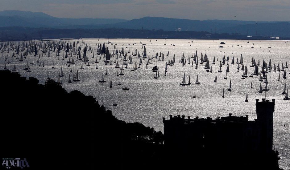 عکس | نمایی زیبا از مسابقه قایق‌رانی در ایتالیا