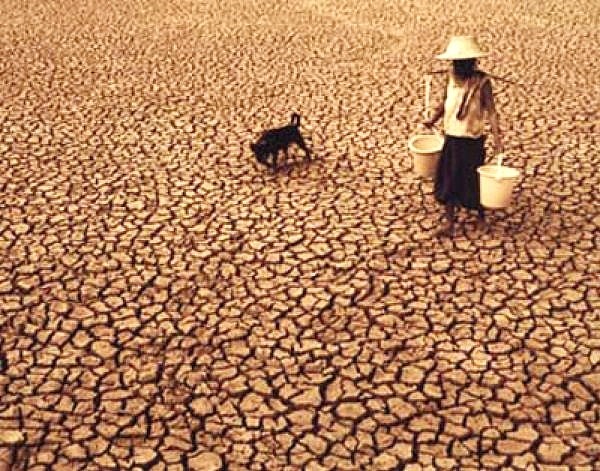 فائو هشدار داد؛ افزایش ۱۲۲میلیون نفری فقرای جهان به دلیل تغییر اقلیم تا ۲۰۳۰