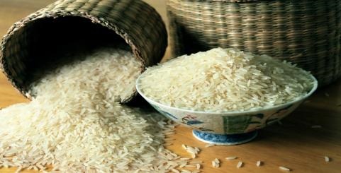 برنج لنجان قربانی کم آبی شد/وقتی خاطره خوردن برنج برند اصفهان آرزو می‎شود 