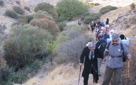 مادربزرگ ۹۰ ساله در ارتفاعات نهاوند کوهپیمایی کرد