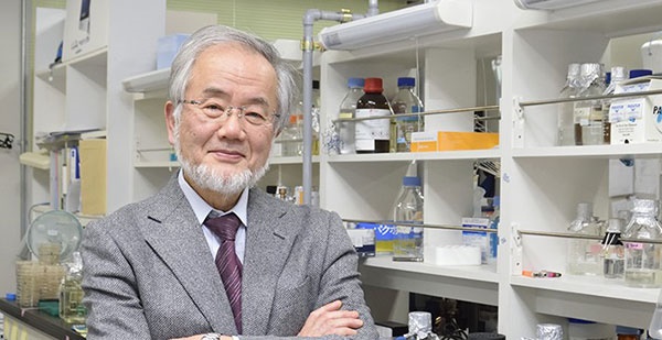 جایزه نوبل پزشکی ۲۰۱۶ به دانشمندی از ژاپن رسید
