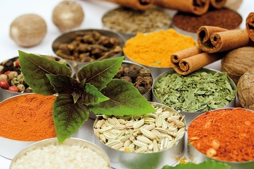 کشت  ۲۰ گونه گیاه دارویی با ارزش صادراتی بالا در استان زنجان