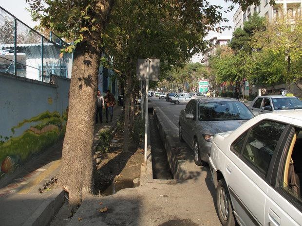 هفت روز از پاسداران تا چرم‌شهر ورامین به دنبال زن گمشده در جوی‌آب/ گلایه خانواده زن مفقود از آتش‌نشانی