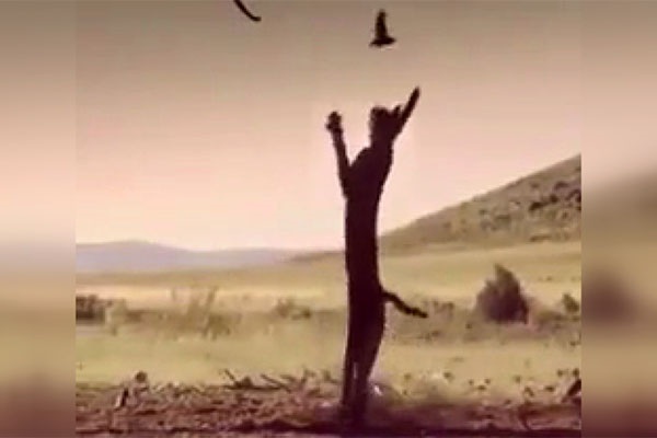 فیلم | صحنه‌ای خارق‌العاده از شکار ماهرانه پرنده در حال پرواز توسط سیاه گوش