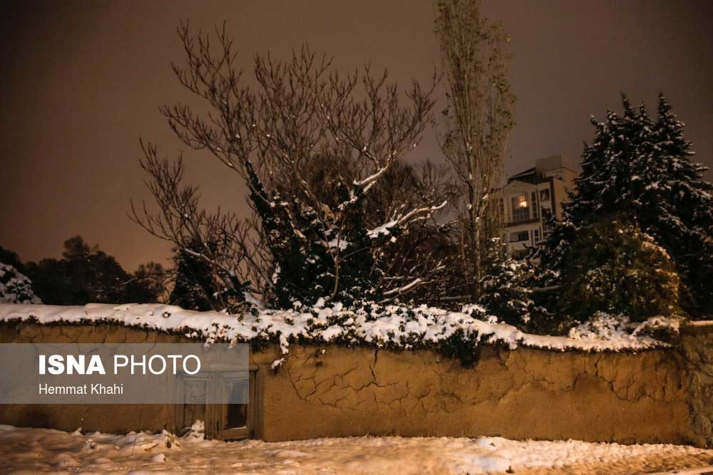 تصاویر | بارش برف در شمال تهران