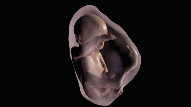 تور در دنیای جنین با استفاده از واقعیت مجازی و فناوری پزشکی