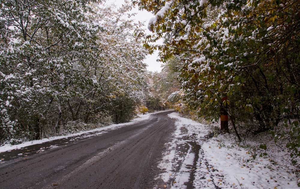 تصاویر |  بارش برف پاییزی در گرگان؛ جاده‌های گلستان لغزنده است
