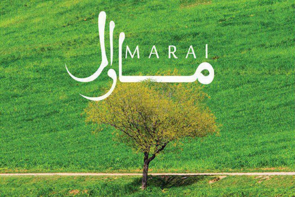 آلبوم «مارال» به بازار می‌آید
