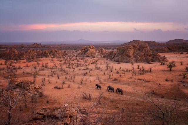 عکس روز نشنال جئوگرافیک از مهاجرت فیل‌ها در جستجوی مراتع سرسبز