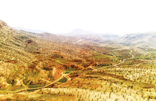طبیعت زیر چکمه تخریب