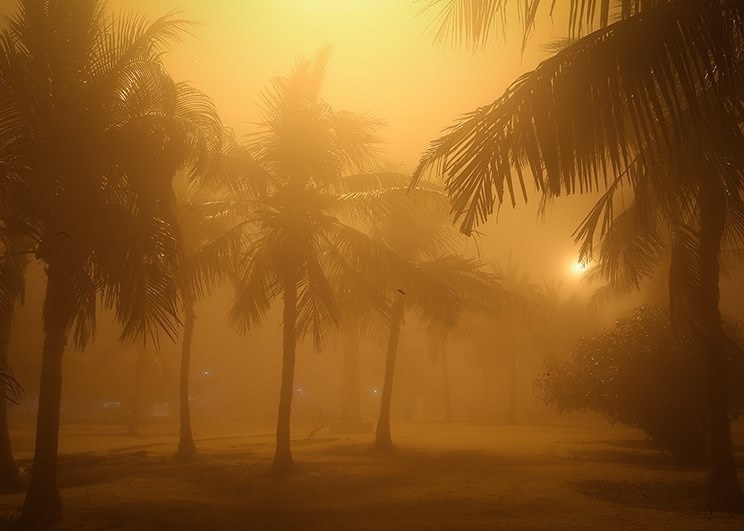تصاویر | مه‌گرفتگی در جزیره کیش