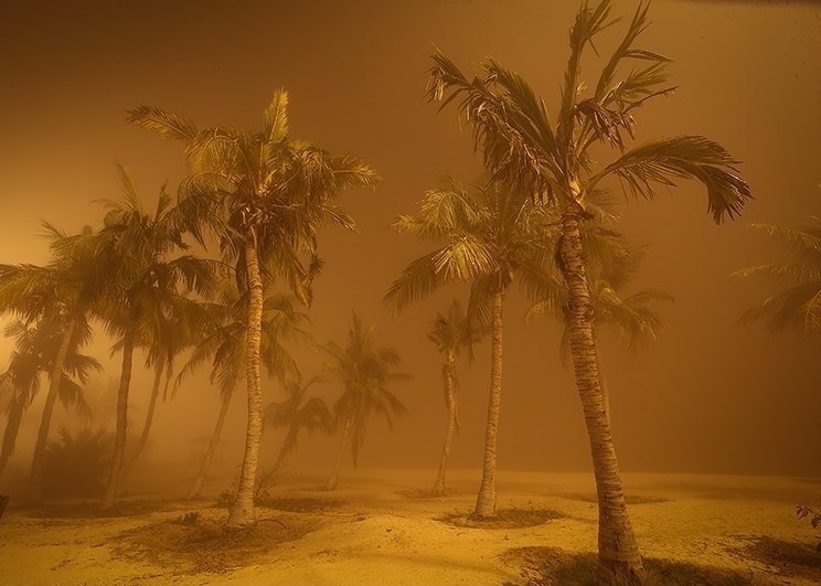 تصاویر | مه‌گرفتگی در جزیره کیش