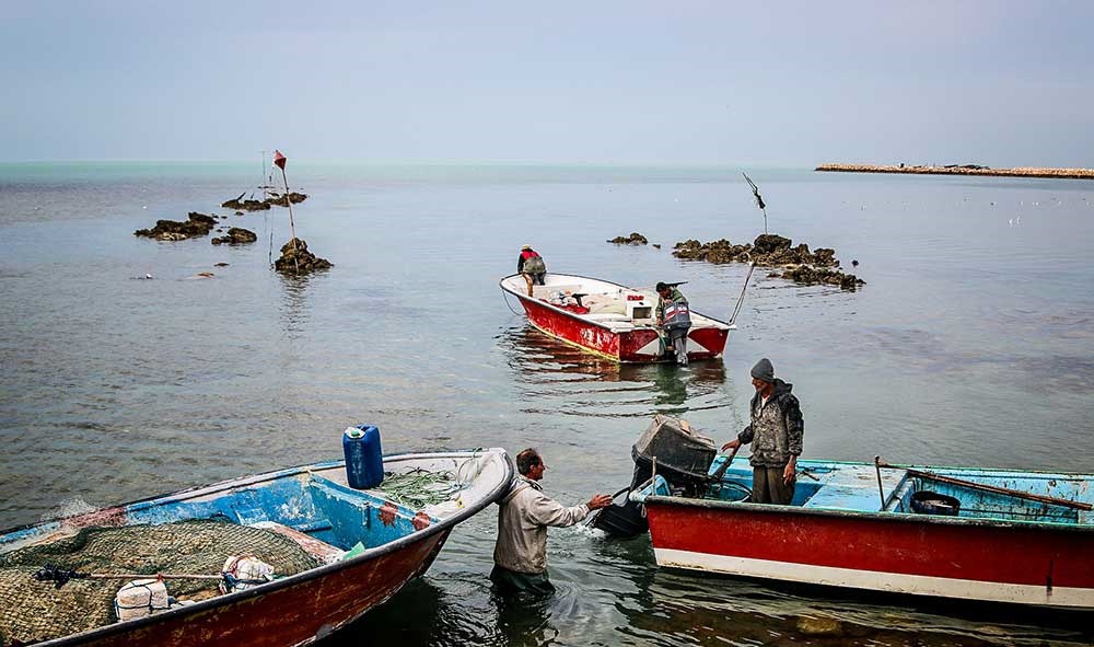 تصاویر | اسکله صیادی جفره وتلاش ماهیگیران 