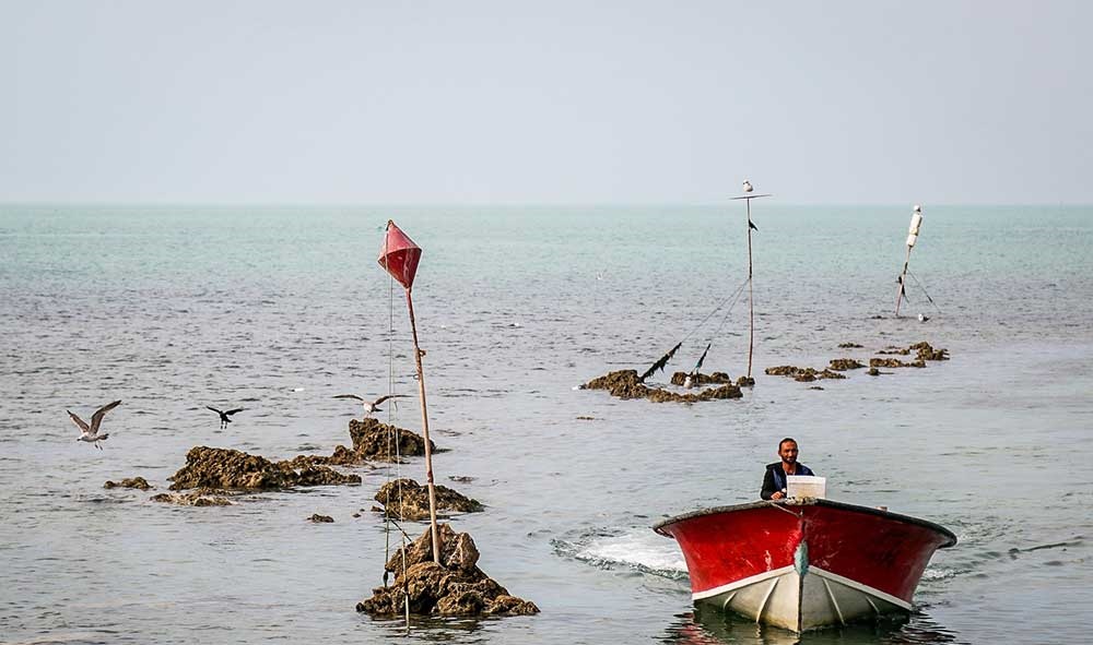 تصاویر | اسکله صیادی جفره وتلاش ماهیگیران 
