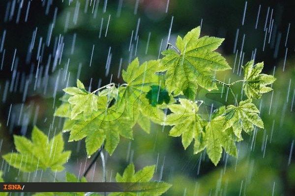 فرضیه باران اسیدی در خوزستان منتفی است