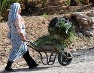 ۴۷۳ نفر در نوبت دریافت مستمری از بهزیستی زنجان