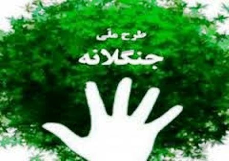 اجرای طرح جنگلانه در اراضی خرمشهر اجرای طرح جنگلانه در اراضی خرمشهر