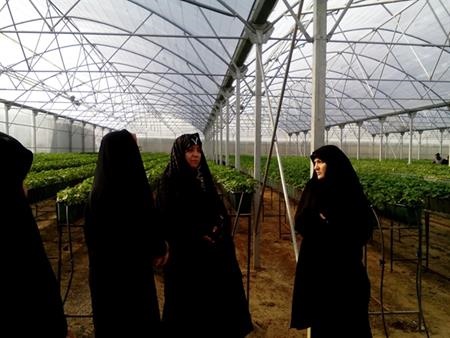 زنان کارآفرین استان البرز از ظرفیتهای ایجاد شده عرصه اقتصادی در سایه سیاست های دولت بهره خواهند شد