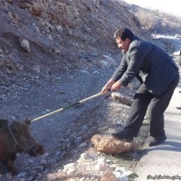 جاده های بدون تابلو هشدار عبور حیوانات عامل مرگ حیات وحش