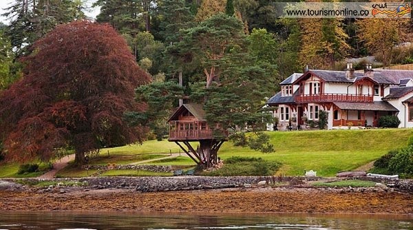 خانه درختی در اسکاتلند