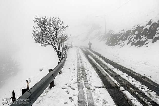 بارش برف بهاری، زنجان را سفید پوش کرد 