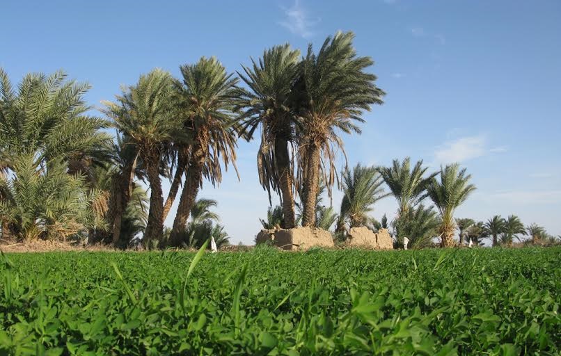 دو اقامتگاه بوم گردی در طرود شاهرود به بهره برداری رسید دو اقامتگاه بوم گردی در طرود شاهرود به بهره برداری رسید