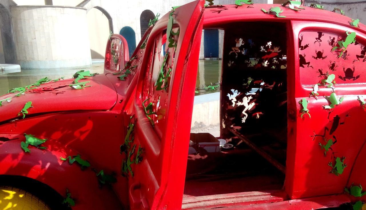 حمله قورباغه‌ها به یک اتومبیل در تهران / عکس