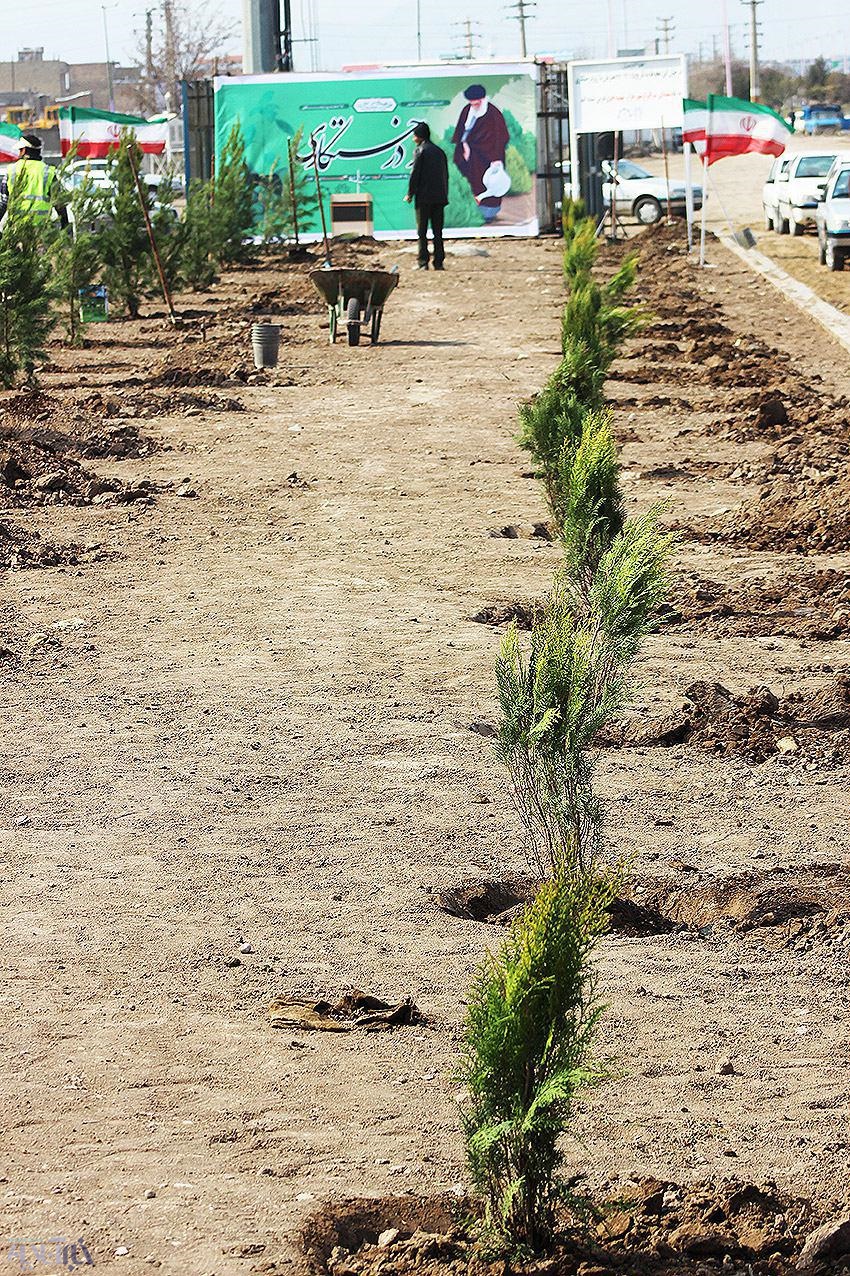 کاشت هزار اصله درخت در خوی بمناسبت روز درختکاری