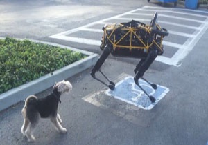 جنگ سگ ها با ربات ها؛ ارمغان دنیای تکنولوژی