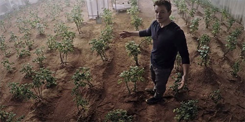 برداشت 10 محصول کشاورزی در شرایط مریخ/وقتی «مریخی» تبدیل به واقعیت شد 
