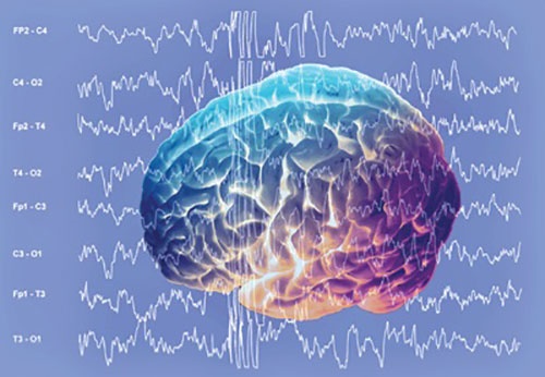 امواج مغزی هویت‌تان را لو می‌دهد!/تشخیص با دقت ۱۰۰ درصد 