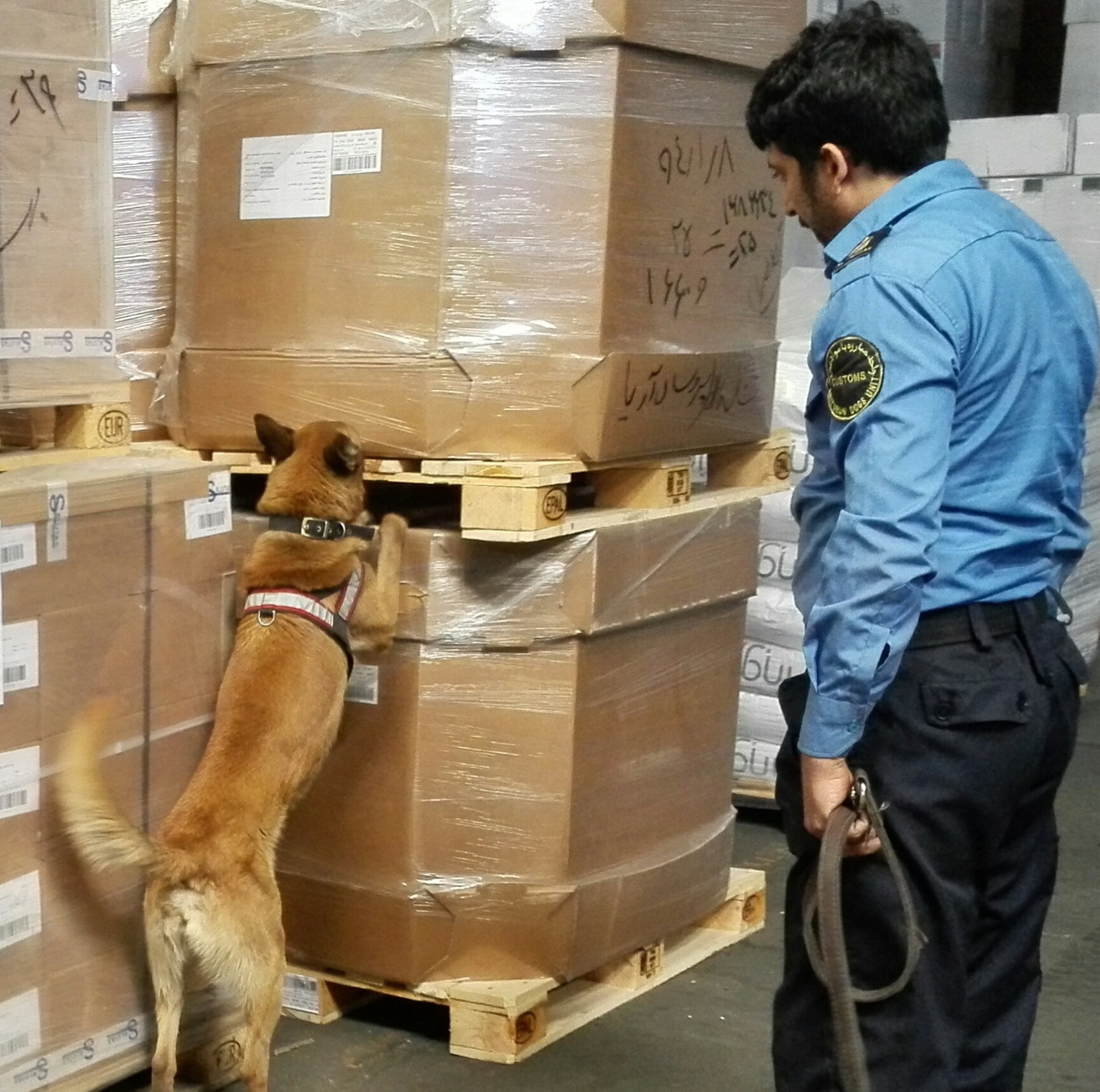 سگ هایی که تجارت ایران را پاک تر می کنند/سگ ها در نبرد با سختگیری برای کالاهای ایرانی