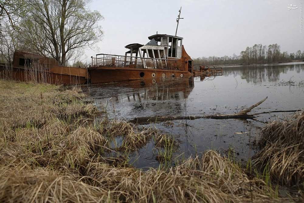 Города на реке припять