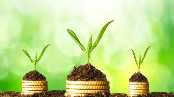 با کارآفرینی اجتماعی، هیچ کودک فقیری از سرطان نمی‌میرد