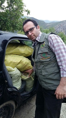 کشف و ضبط سبزیجات کوهی ممنوعه و حفاظت شده در مراتع شهرستان طالقان