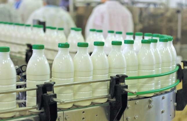 تولید شیر در زنجان به صرفه نیست