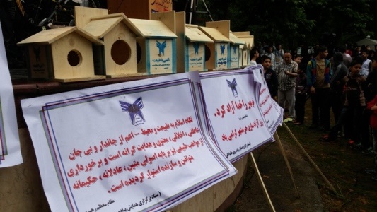 پرندگان پارک ساحلی آستانه صاحب لانه شدند پرندگان پارک ساحلی آستانه صاحب لانه شدند