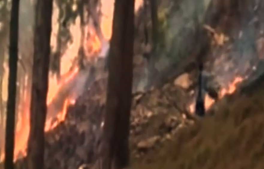  آتش سوزی در جنگلهای هند