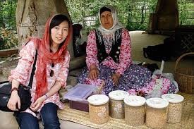 گردشگران خارجی در کرج به حادثه دچار شدند 