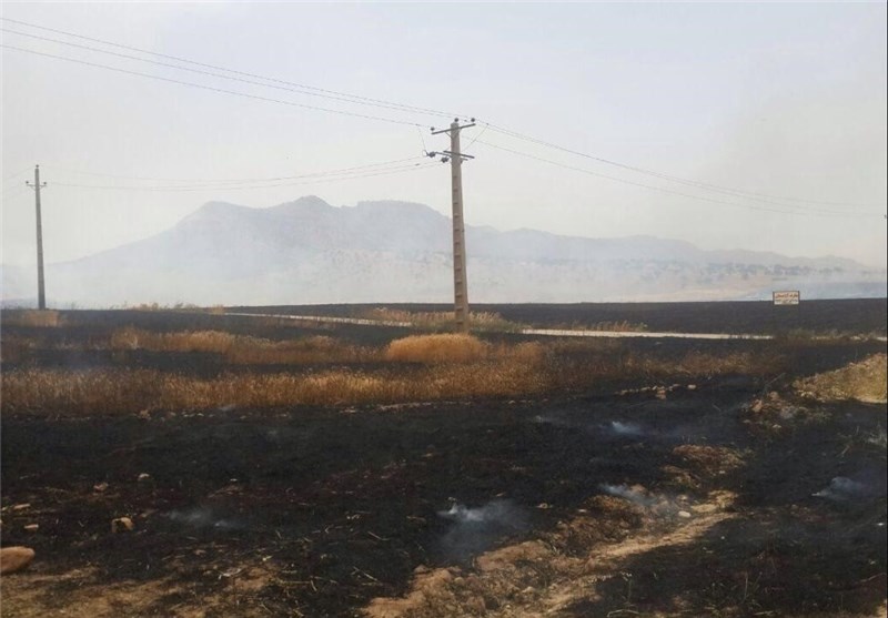 10هکتار از اراضی پلدختر در آتش سوخت 