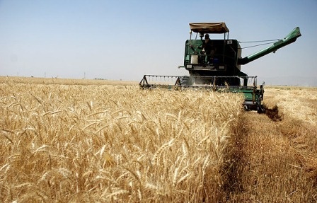 کشاورزی ظرفیت اصلی توسعه کردستان/ همراهی بخش خصوصی با دولت ضروری است